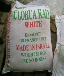 PHÂN BÓN KALI – KALI CLORUA – KCL NHẬP KHẨU TỪ ISRAEL